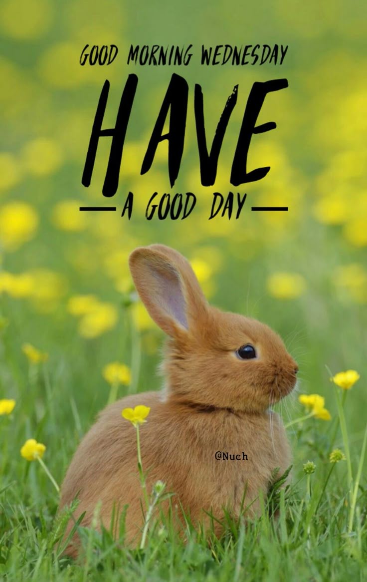 Wednesday 01.jpg