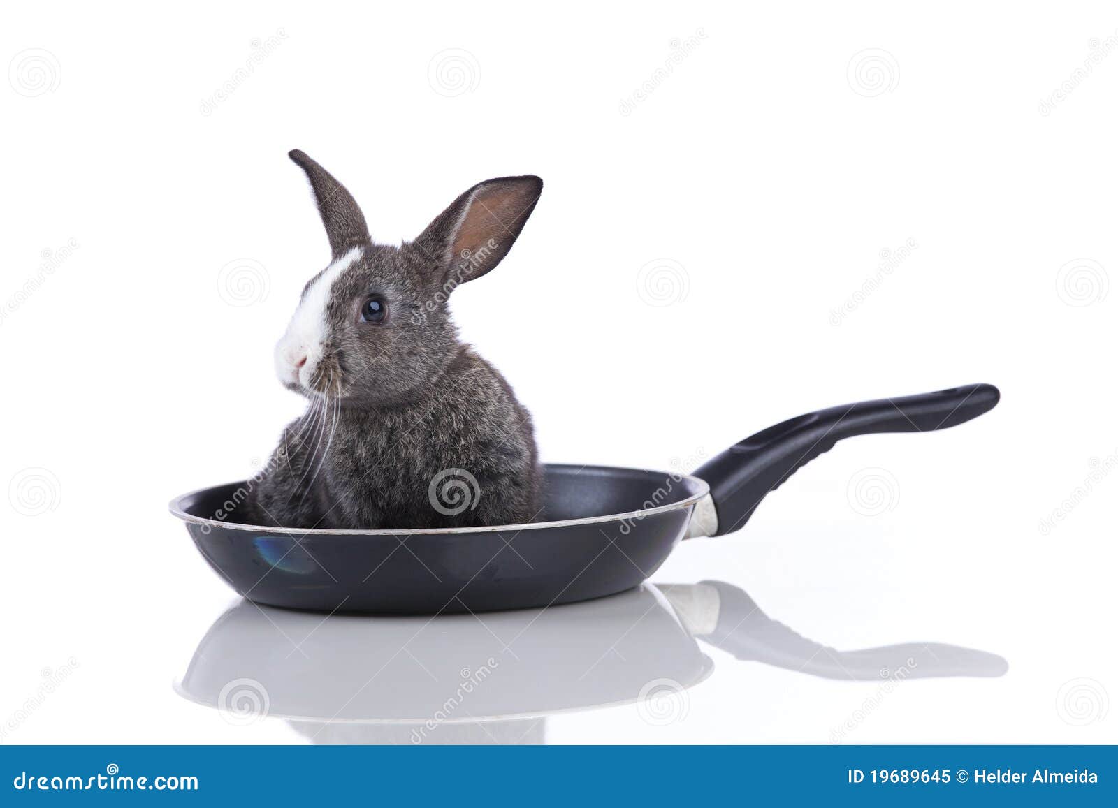 bunnyinfrypan.jpg